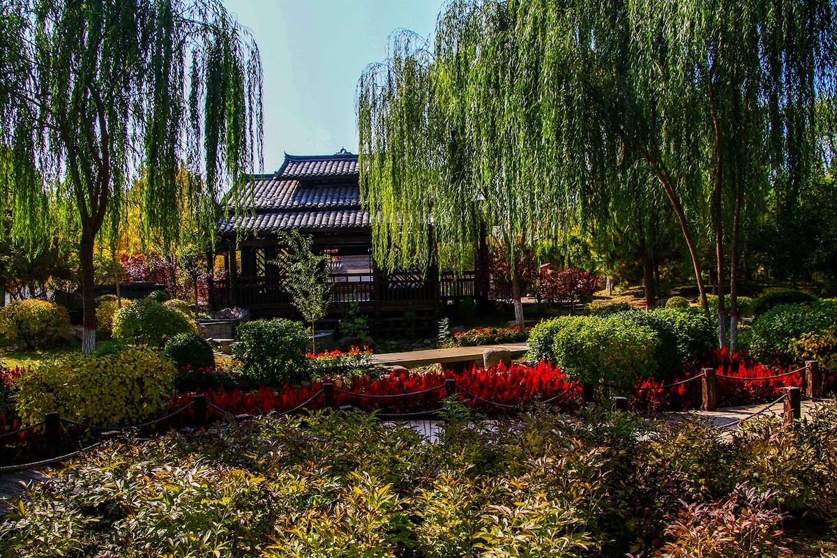 腾龙16-300这头可玩性不错的！