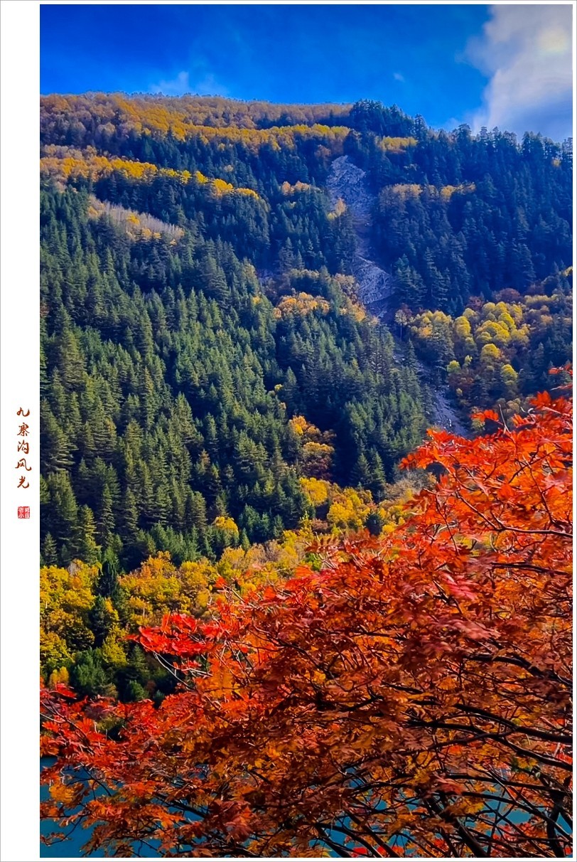 2024年九寨沟风光纪实抓拍1105