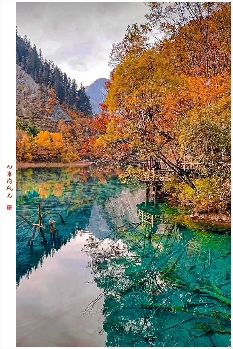 2024年九寨沟风光纪实抓拍1105