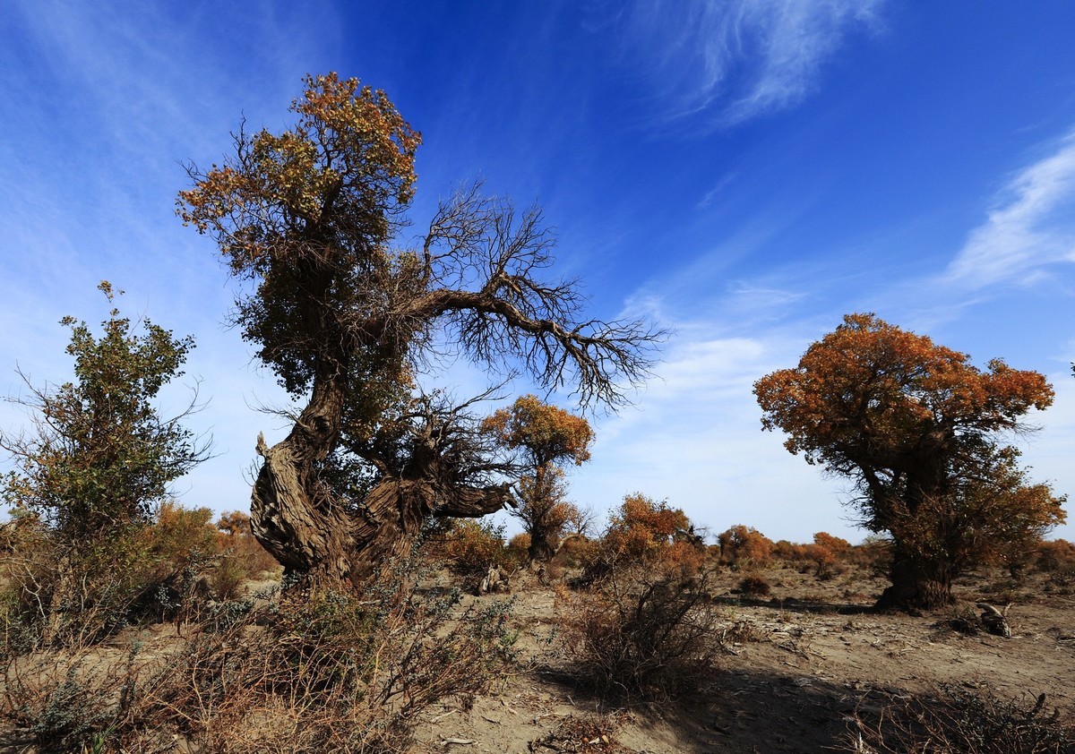 貌似进入了失落的世界（8）