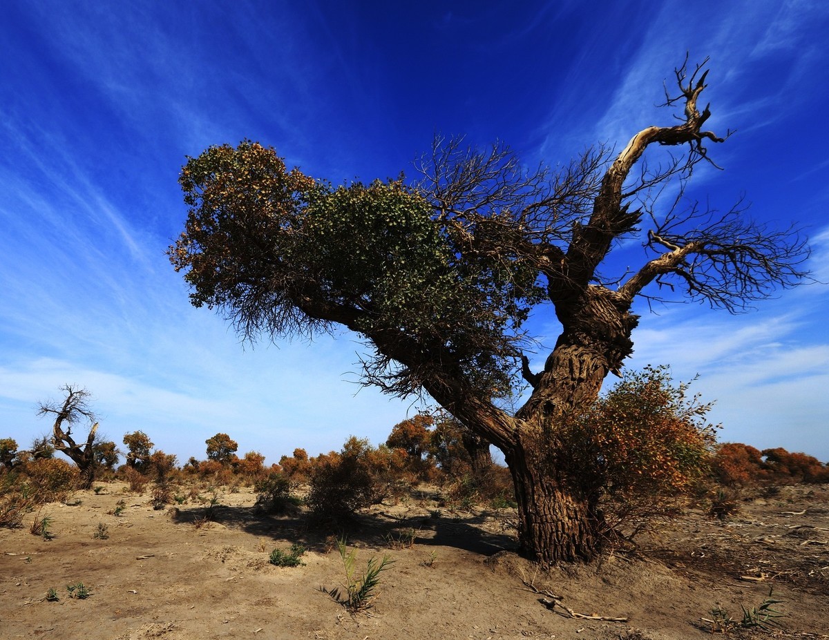貌似进入了失落的世界（8）