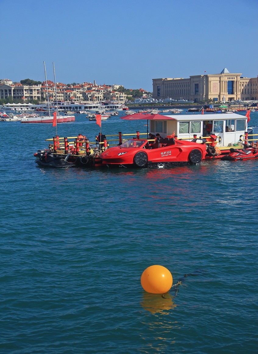 十一月的扫街抓拍片《风景，花草和妹子》