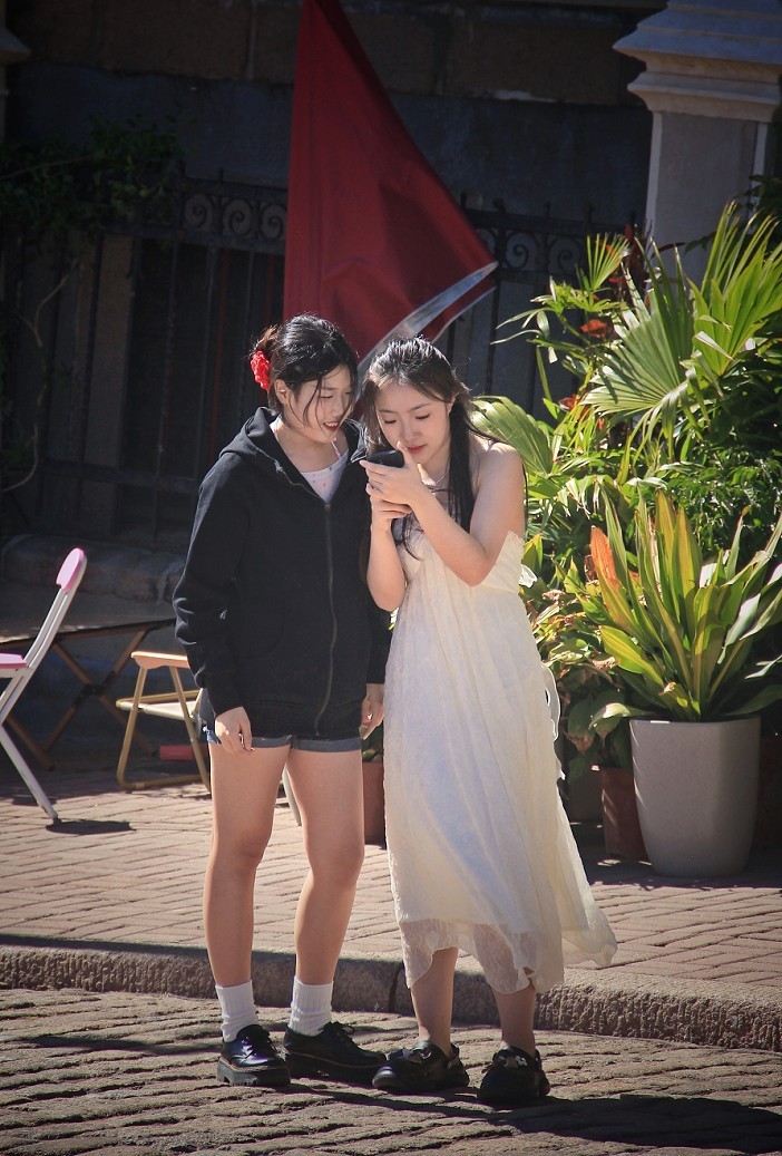 十一月的扫街抓拍片《风景，花草和妹子》