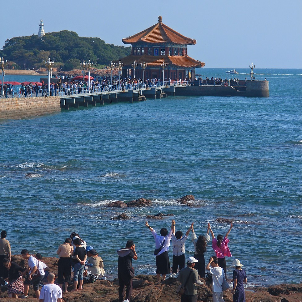十一月的扫街抓拍片《风景，花草和妹子》