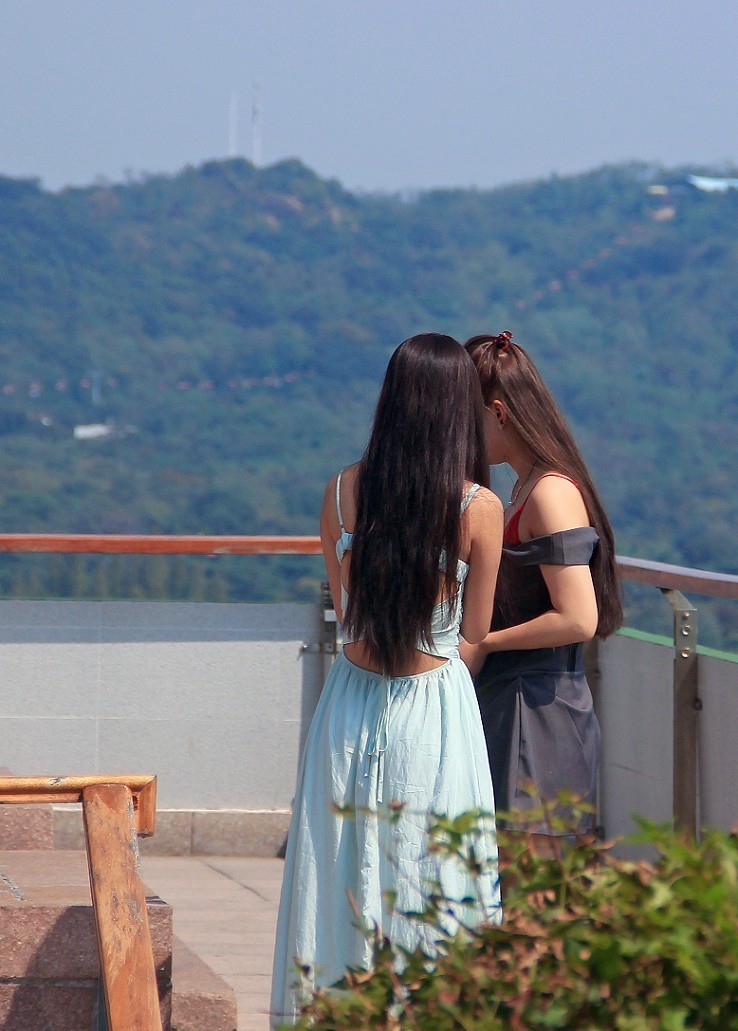 十一月的扫街抓拍片《风景，花草和妹子》