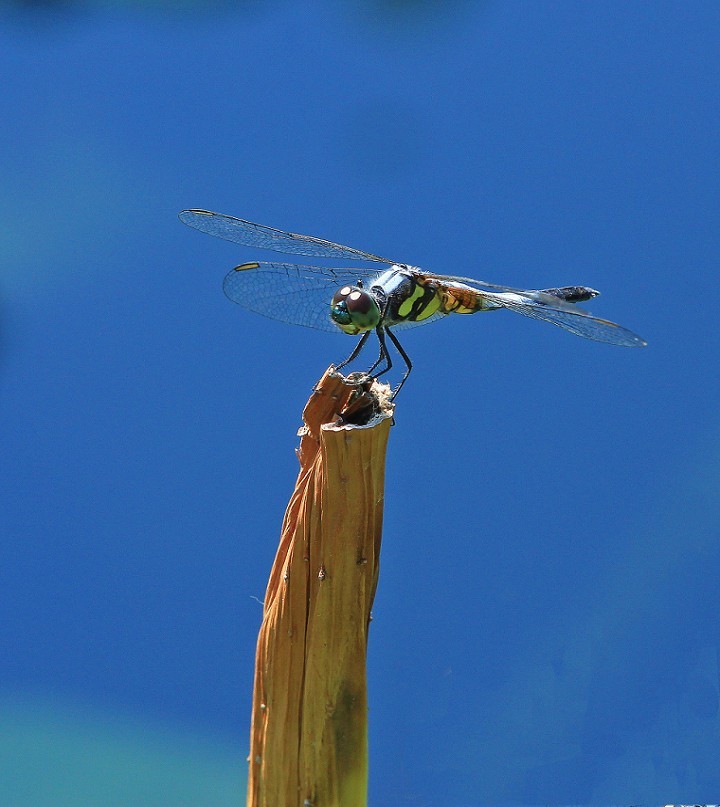 十一月的扫街抓拍片《风景，花草和妹子》