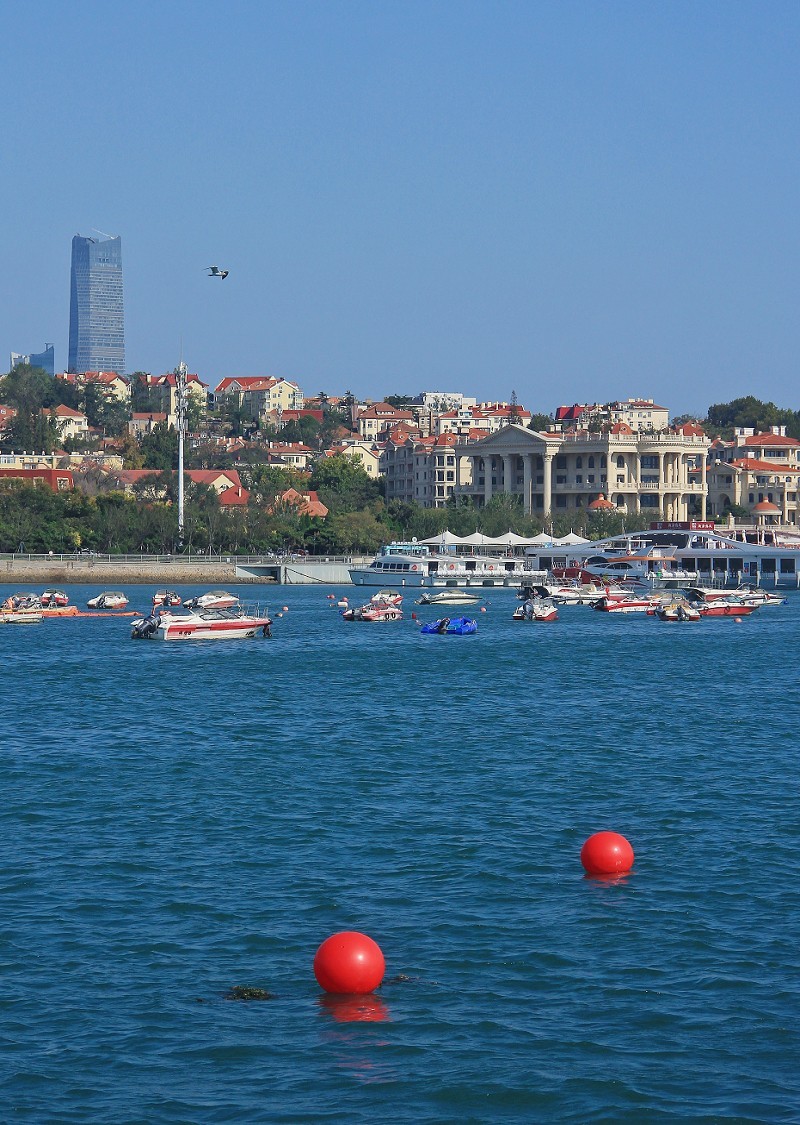 十一月的扫街抓拍片《风景，花草和妹子》