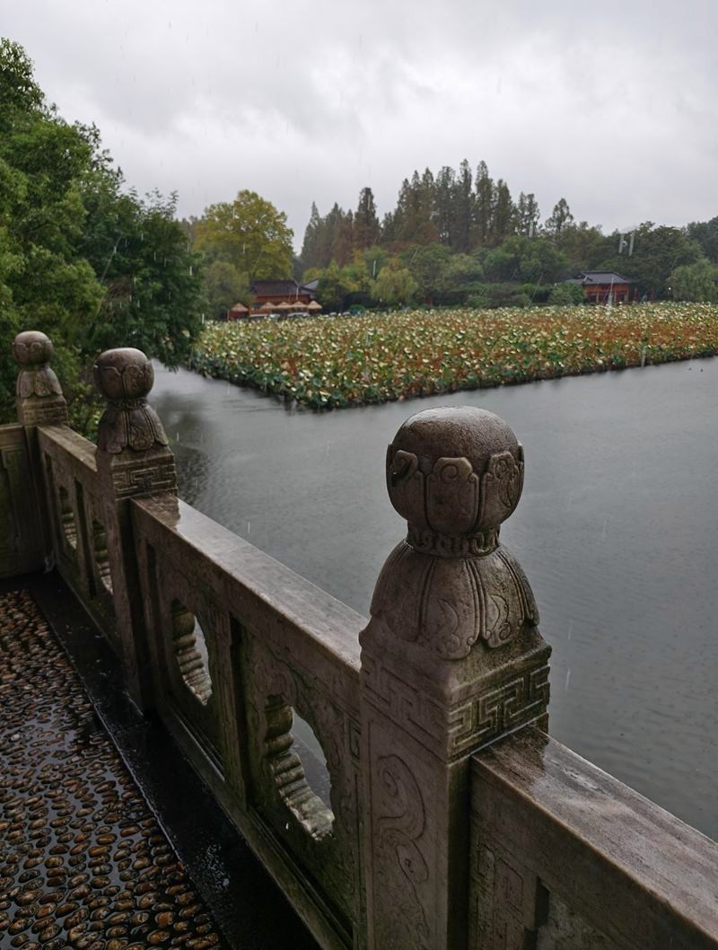 2024年.11月.1日--风雨中的杭州西湖