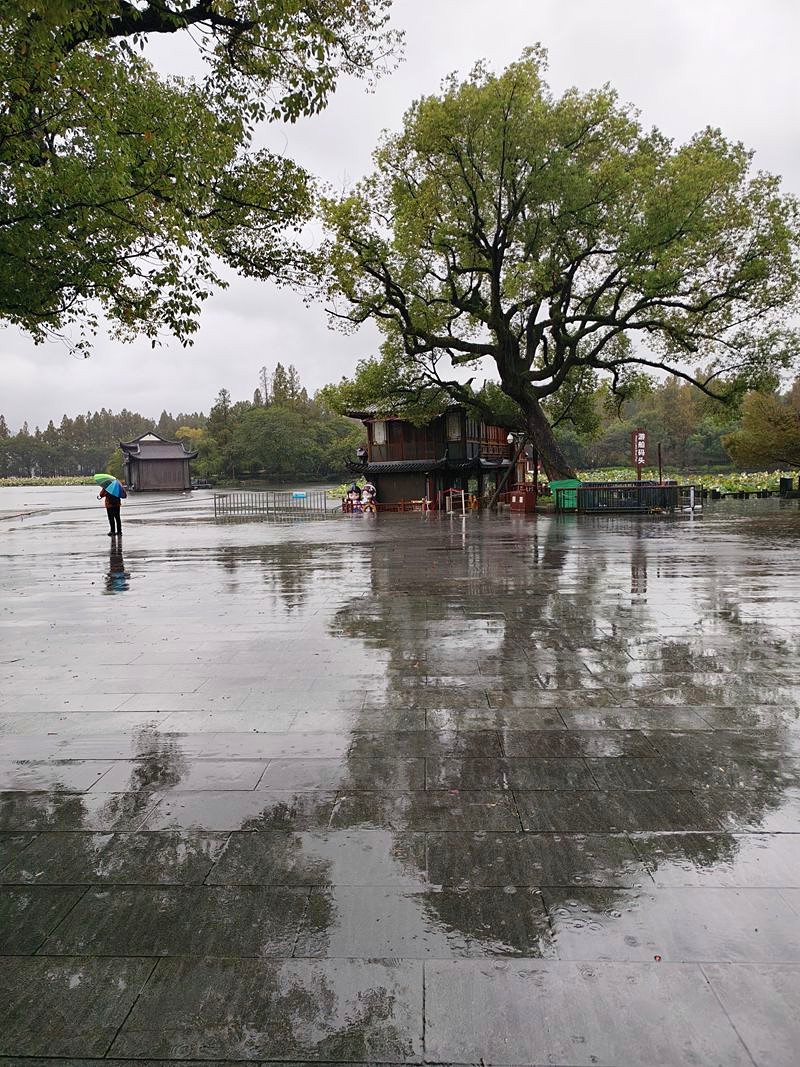 2024年.11月.1日--风雨中的杭州西湖