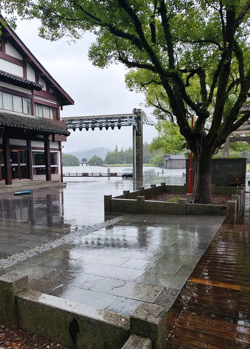 2024年.11月.1日--风雨中的杭州西湖