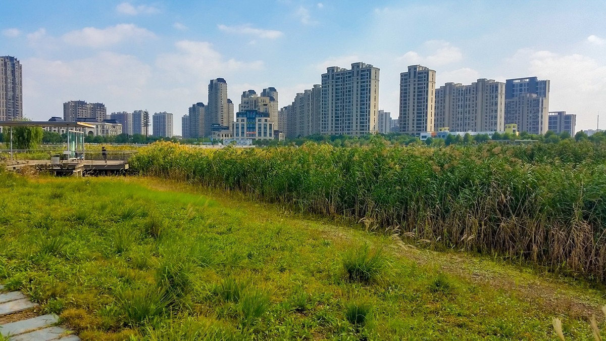 小区湖景（上海南翔）