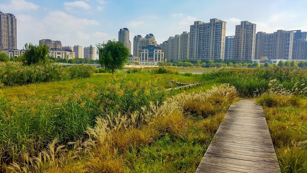 小区湖景（上海南翔）