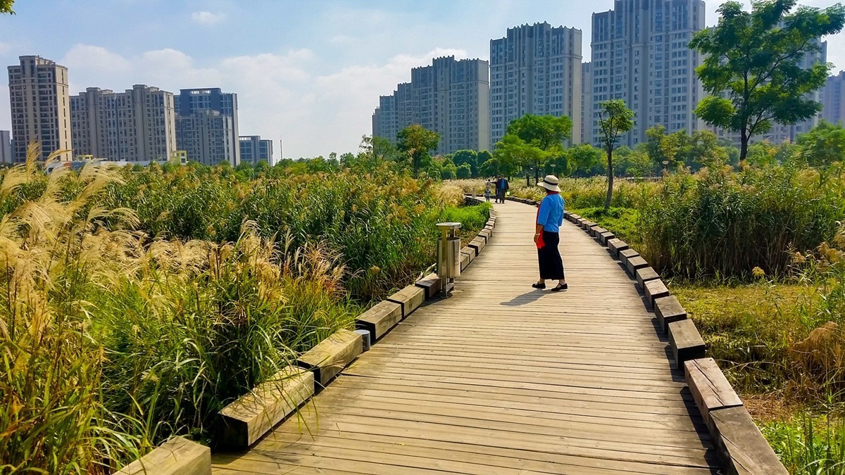 小区湖景（上海南翔）