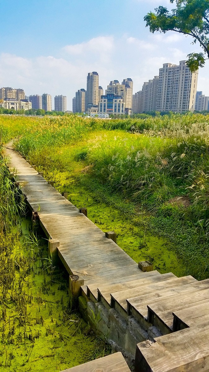 小区湖景（上海南翔）