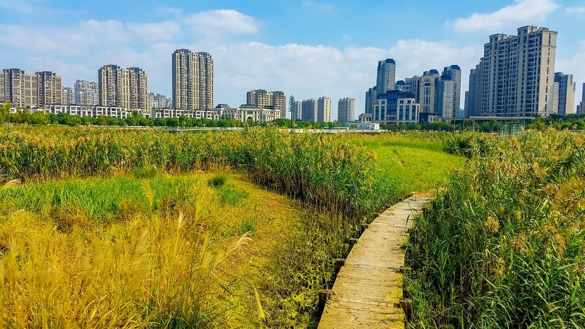 小区湖景（上海南翔）