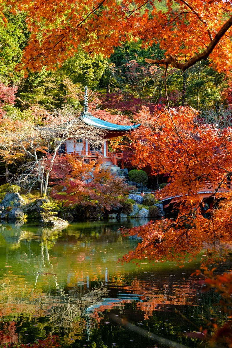 2019年京都醍醐寺红叶-2-25