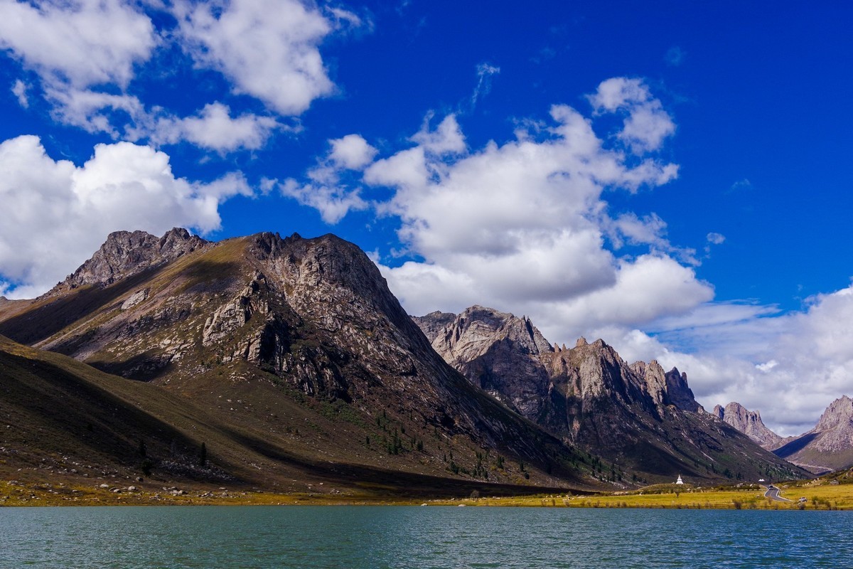 宾得K70拍莲宝叶则