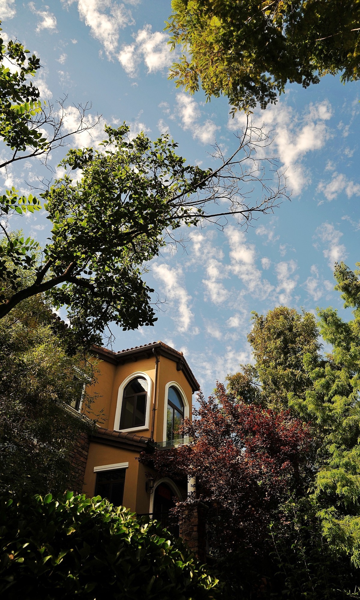 秋日城阳别墅区转悠转悠