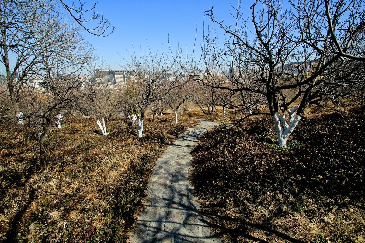 初春——素静安逸的千佛山