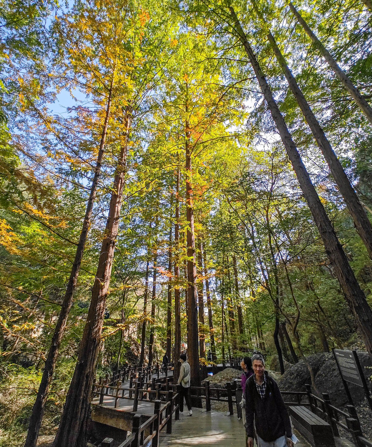 手机随拍20231026《255》