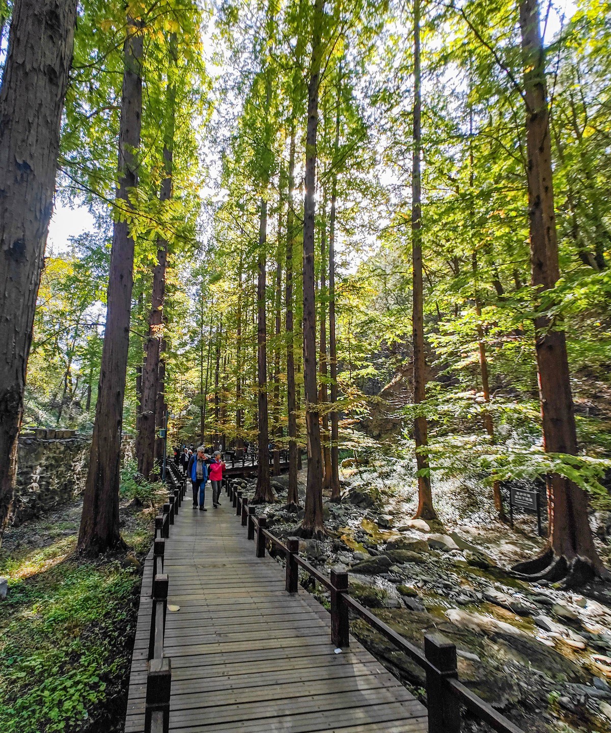 手机随拍20231026《255》