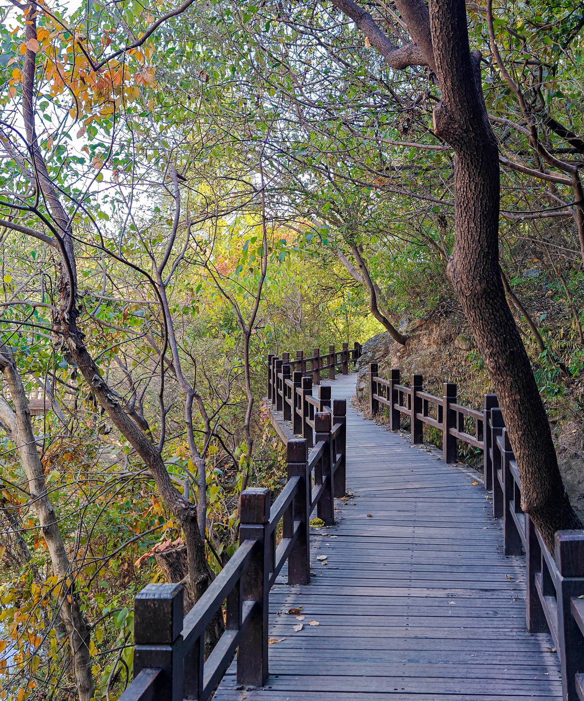 手机随拍20231026《255》