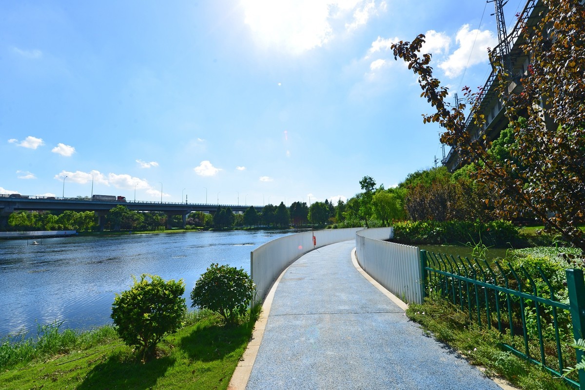 秋高气爽（续）