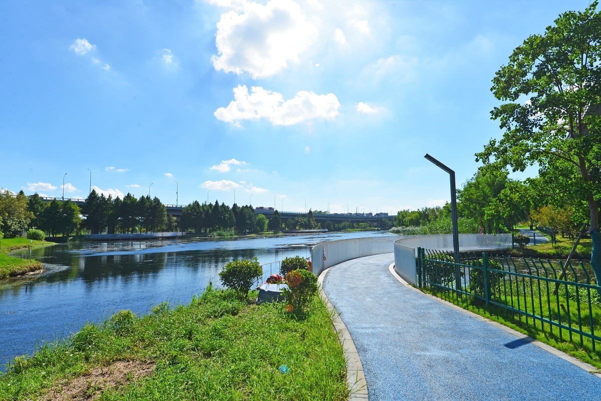 秋高气爽（续）