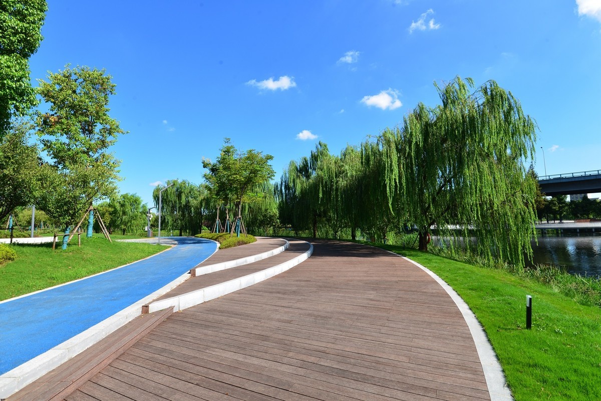 秋高气爽（续）