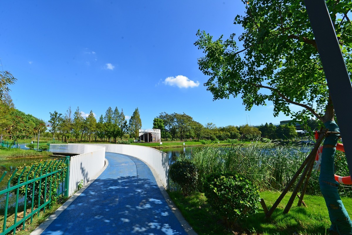 秋高气爽（续）