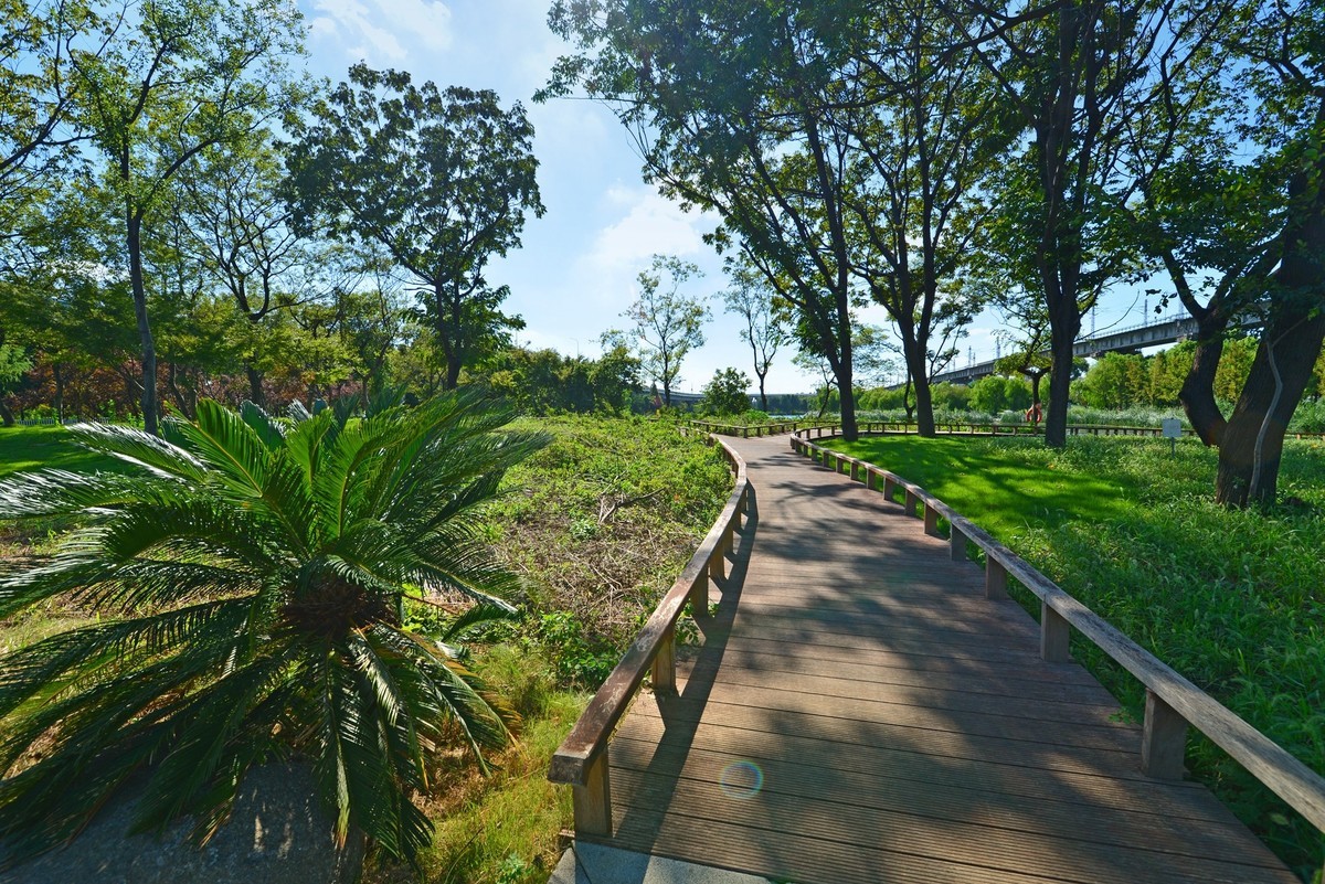 秋高气爽（续）