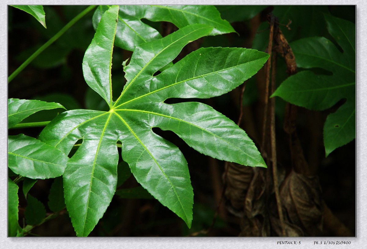 10月13日公园扫街