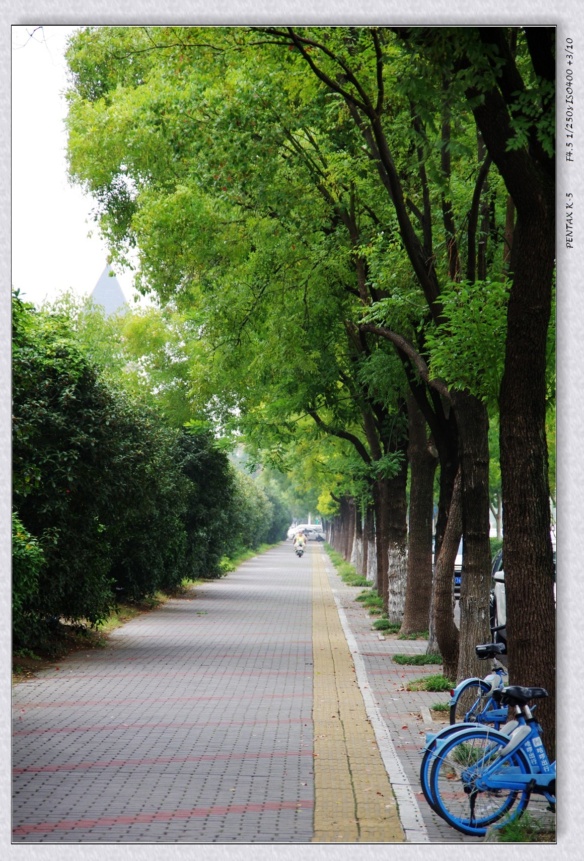 10月13日公园扫街