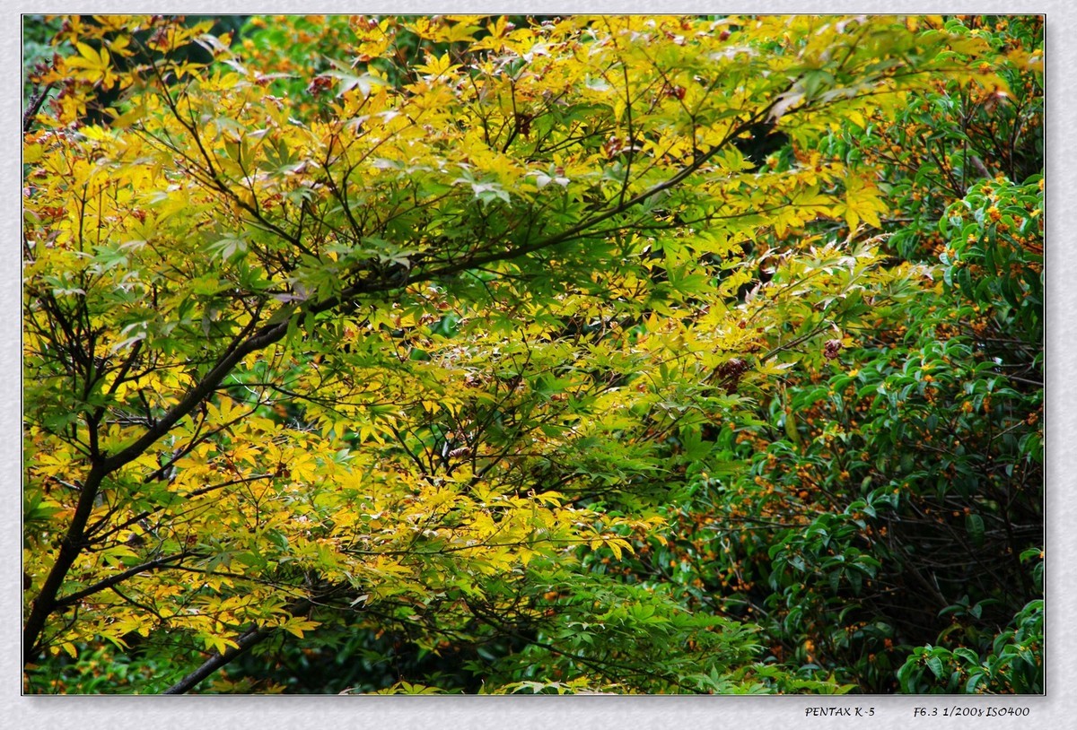 10月13日公园扫街