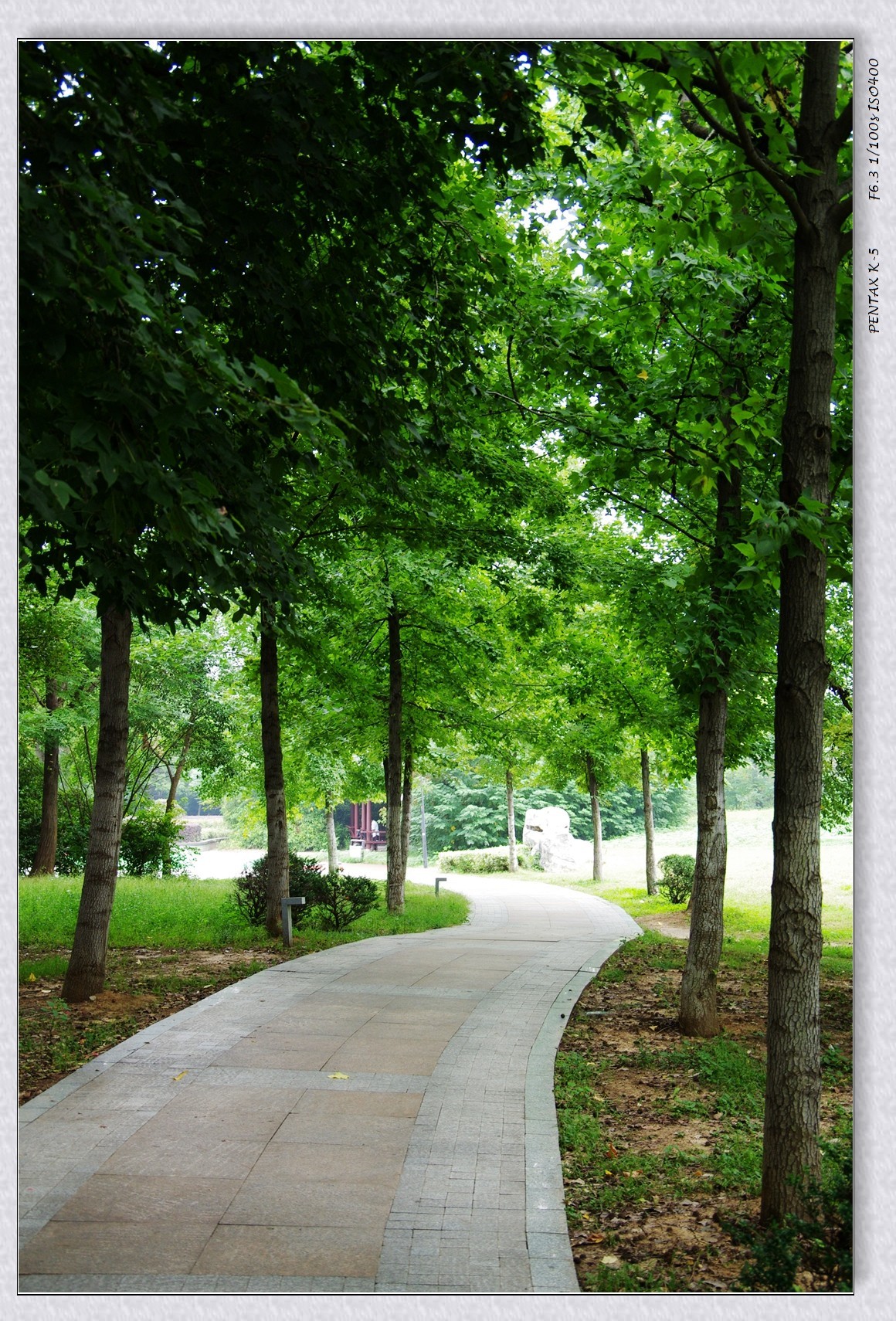 10月13日公园扫街