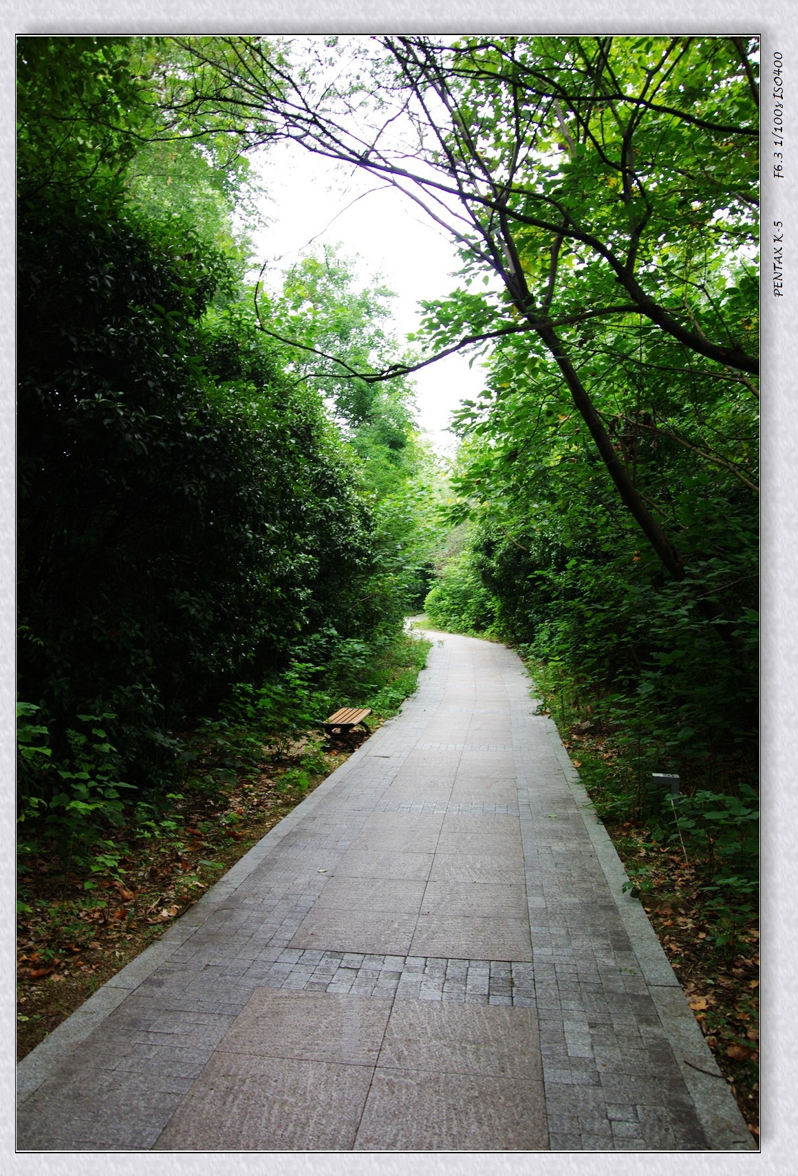 10月13日公园扫街