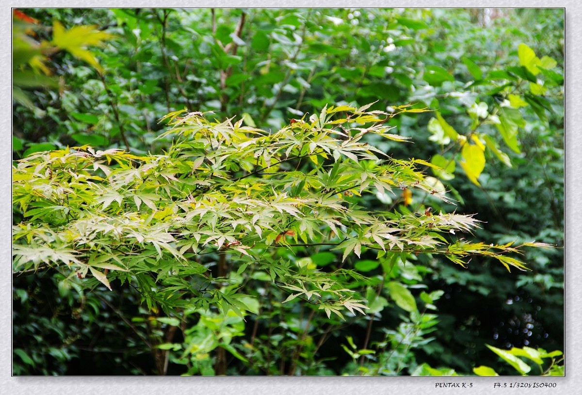 10月13日公园扫街