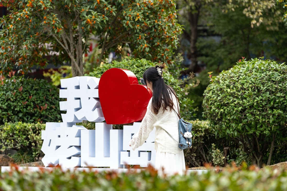 庐州印象（392）跟着公交去巢湖