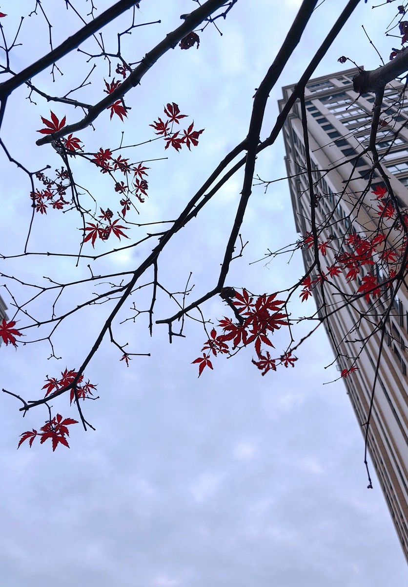 城市光影碎片之七十五