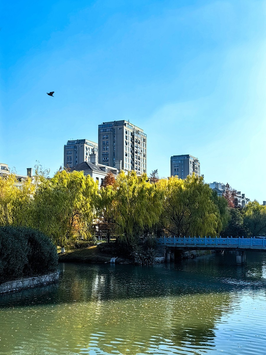 城市光影碎片之七十五