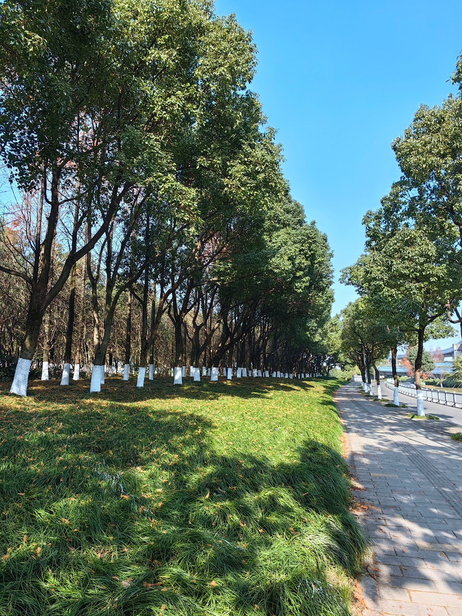 城市光影碎片之七十五