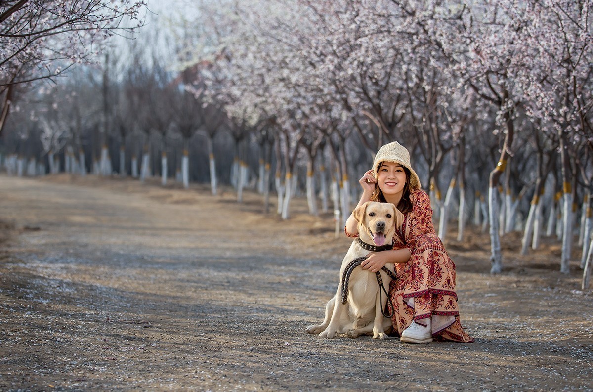 春催桃花烂漫时  【学拍环境人像】