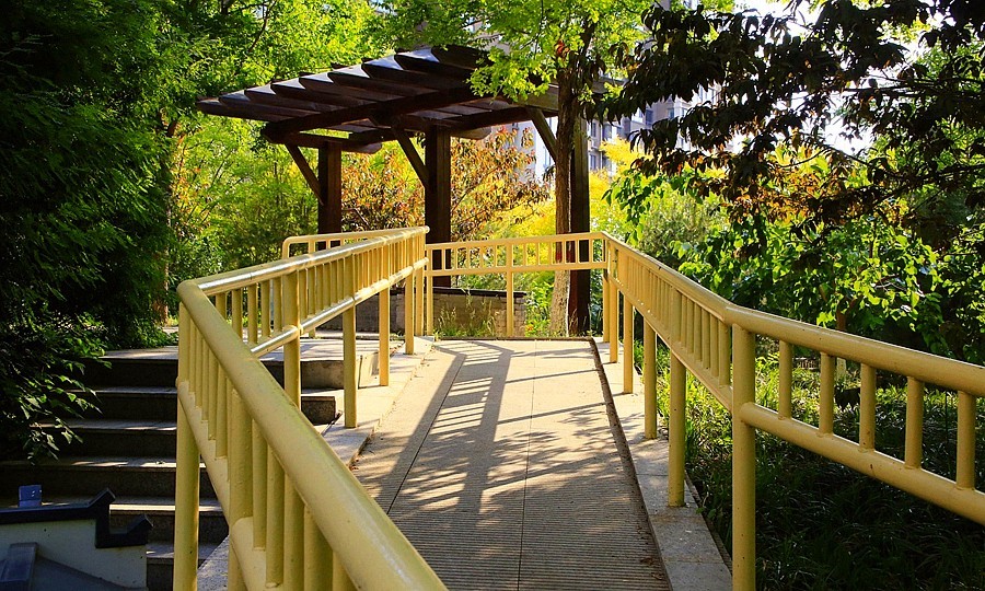 《不老松：纪实摄影》大美沧州：双金公园！〔健康主题公园！〕