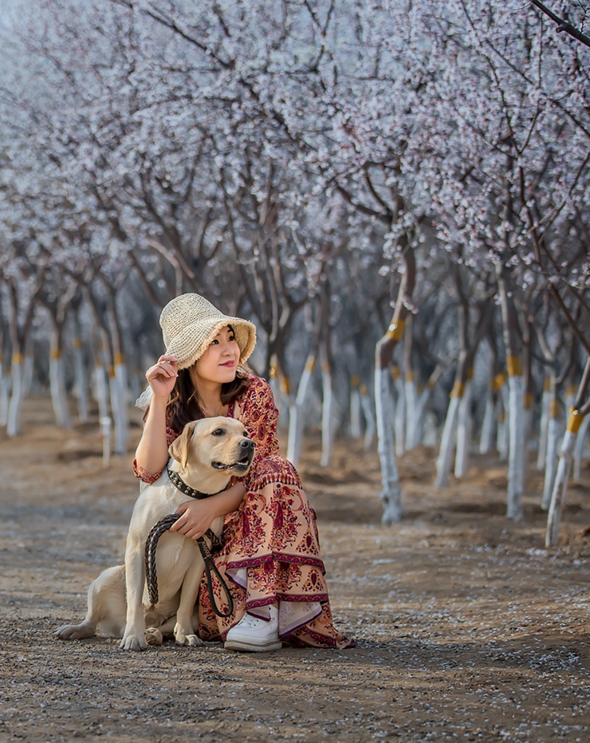 春催桃花烂漫时  【学拍环境人像】