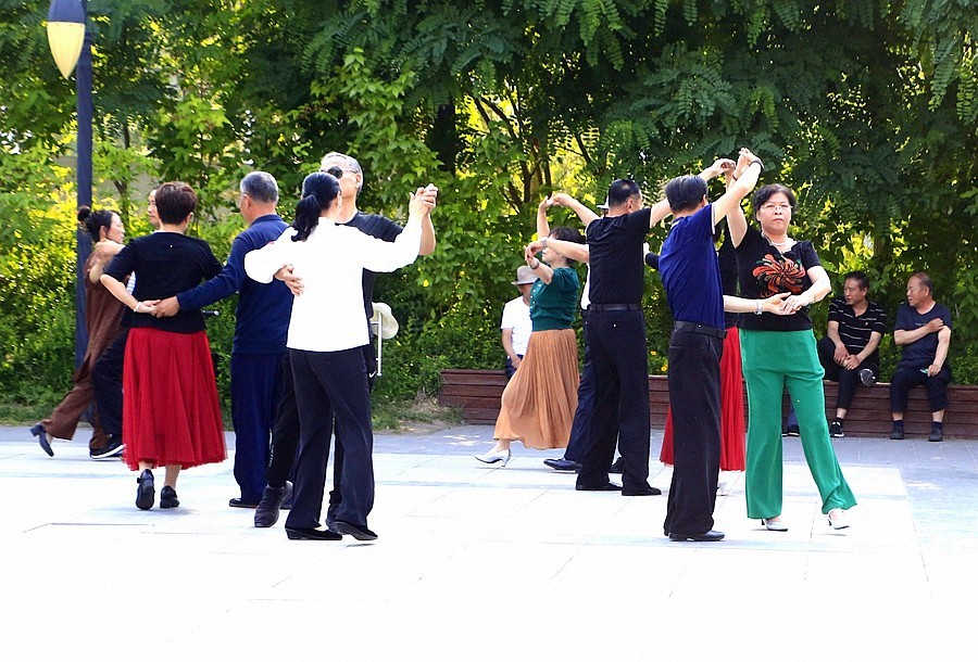 《不老松：纪实摄影》大美沧州：双金公园！〔健康主题公园！〕 (2)