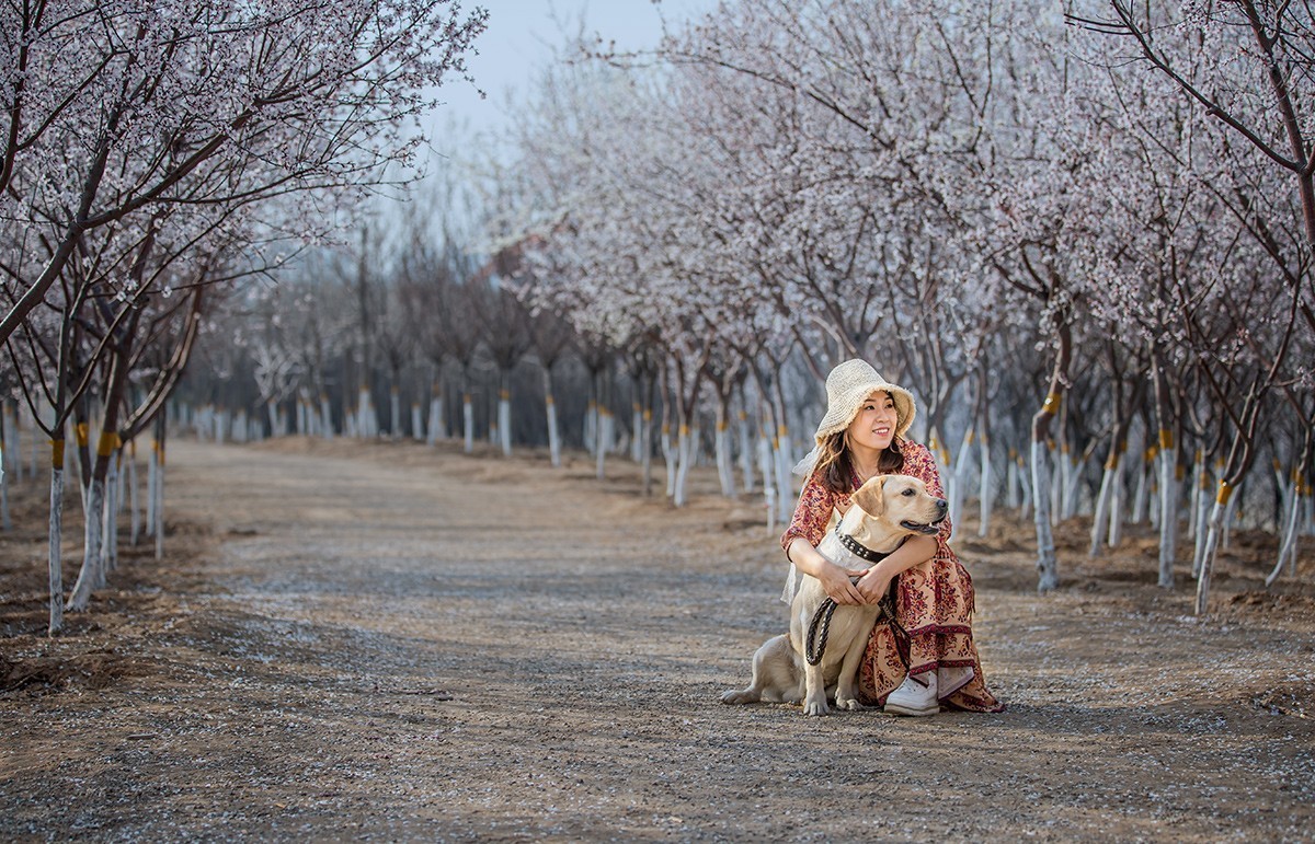 春催桃花烂漫时  【学拍环境人像】