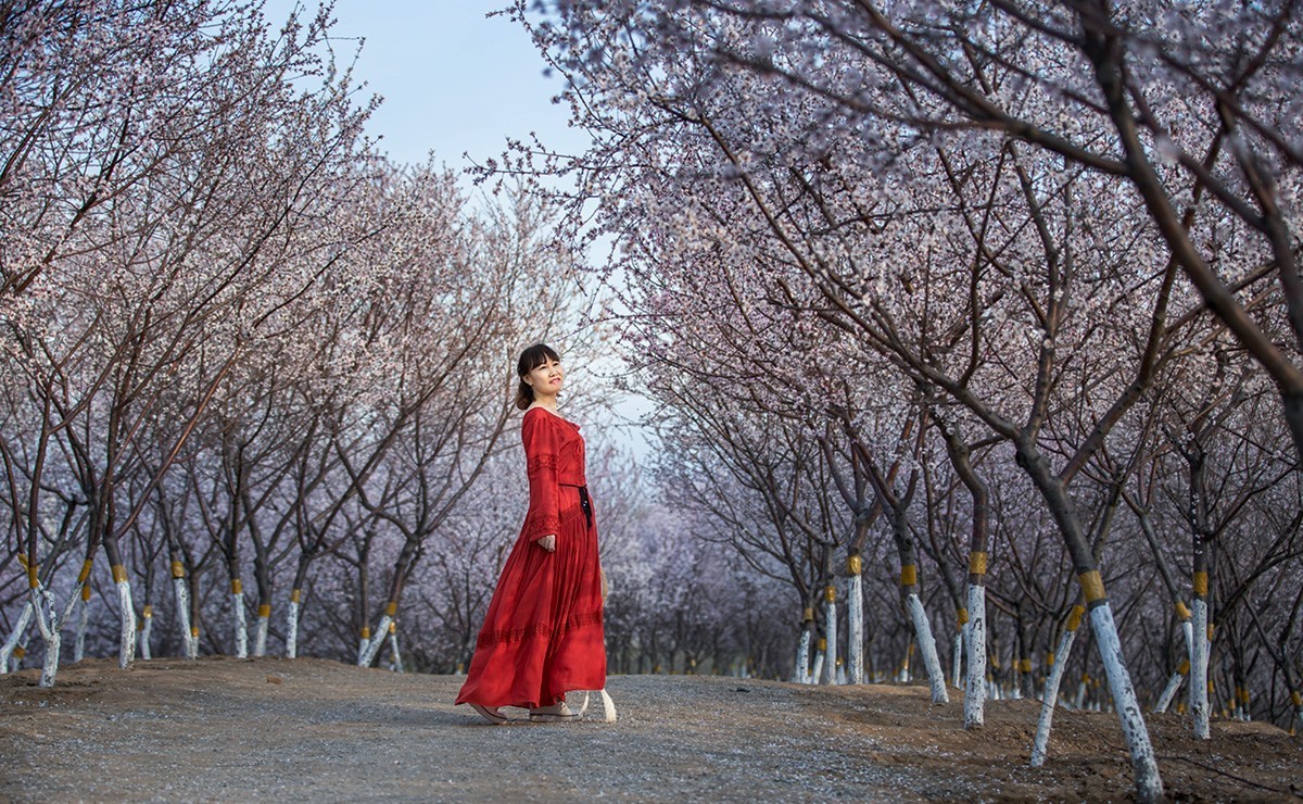 春催桃花烂漫时  【学拍环境人像】