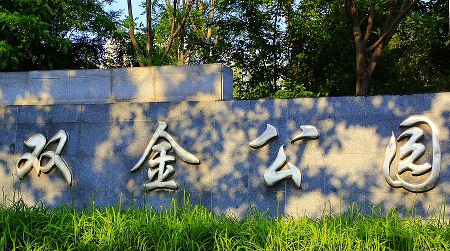 《不老松：纪实摄影》大美沧州：双金公园！〔健康主题公园！〕 (3)