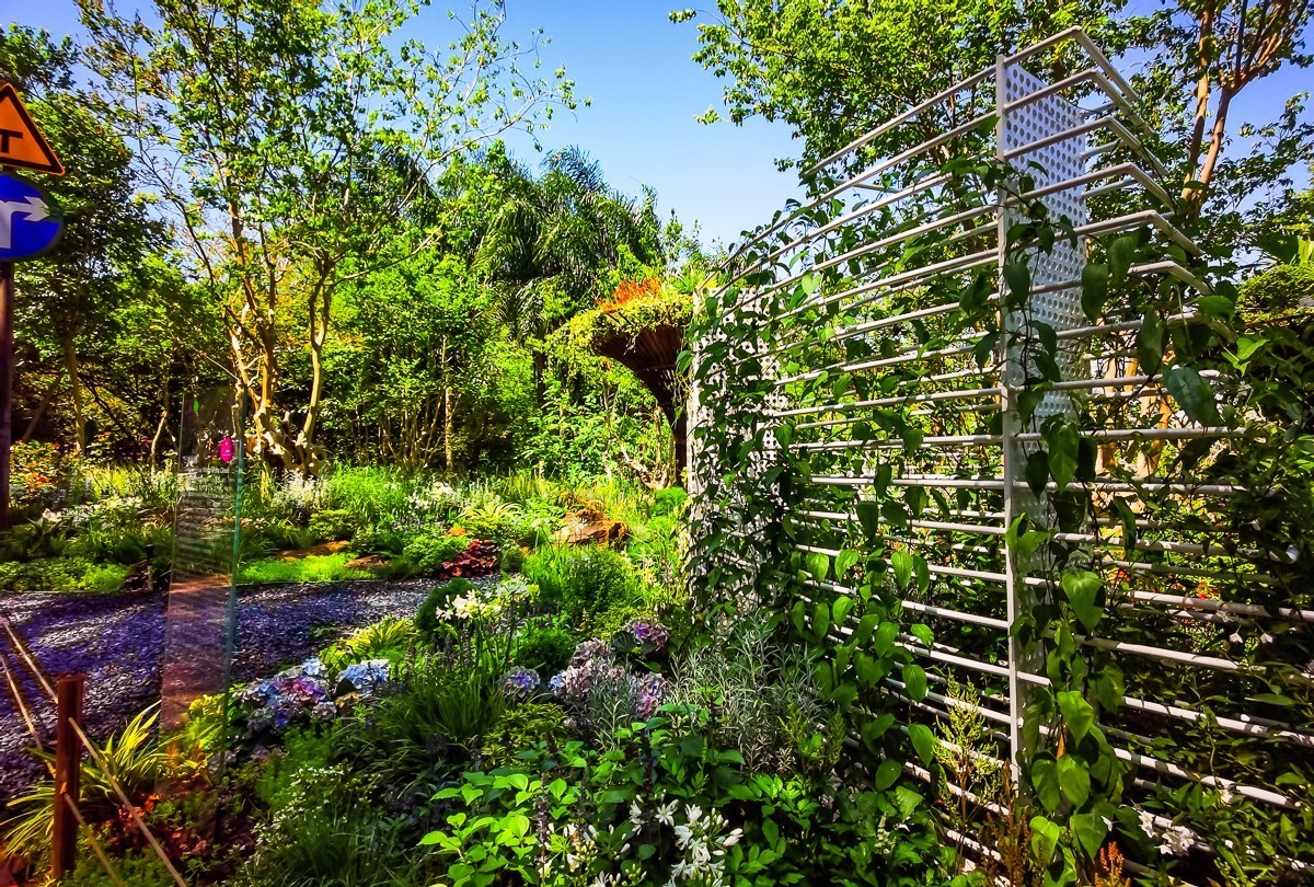 深圳仙湖植物园掠影