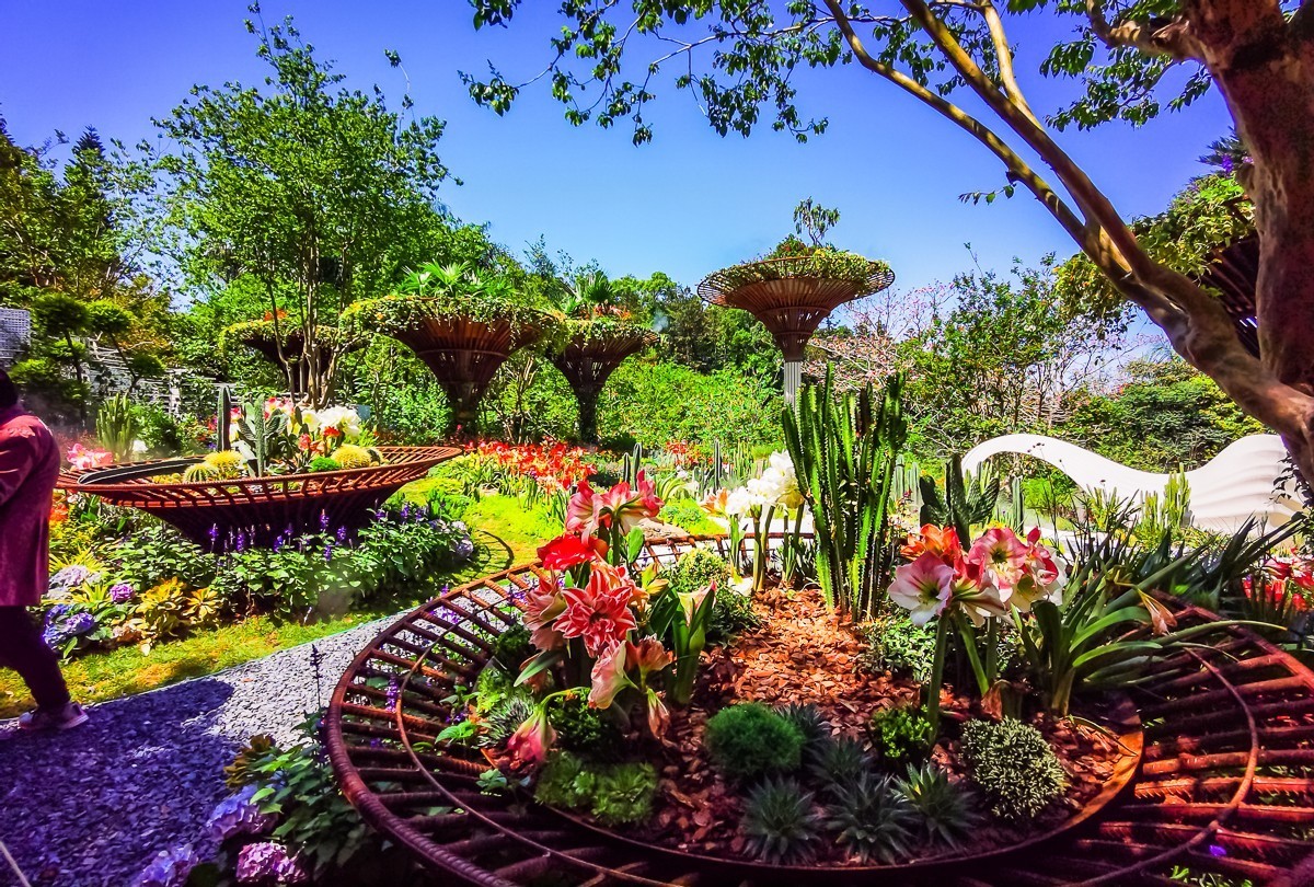 深圳仙湖植物园掠影